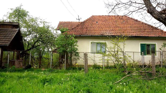 House in Leauț