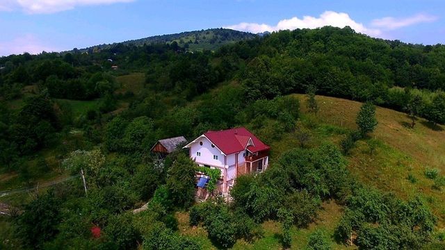Villa in Sălătrucel