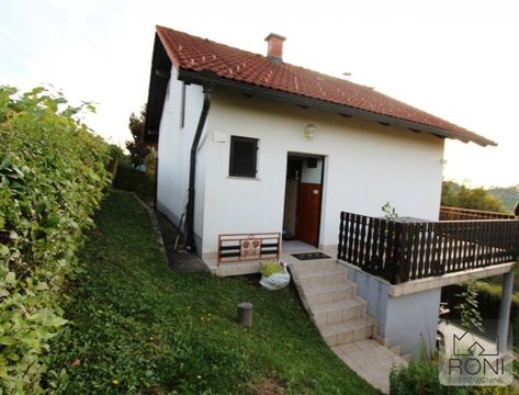 Detached house in Ptuj