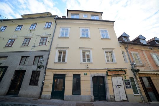 Apartment in Ljubljana