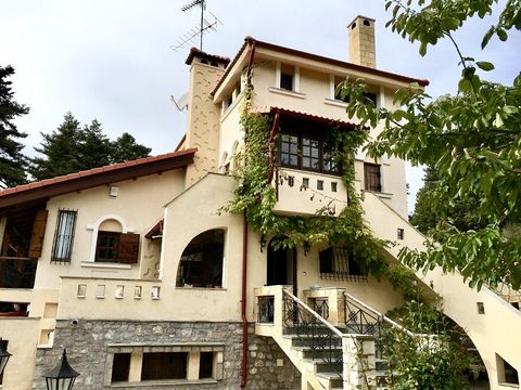 Villa in Arachova