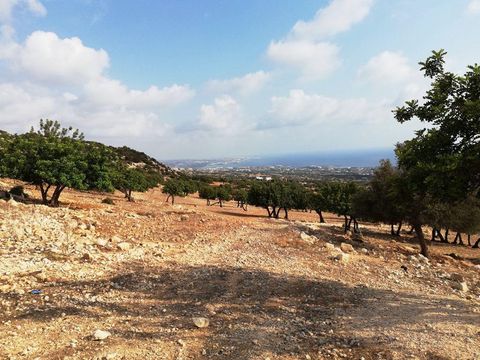 Land in Paphos District