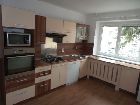 Apartment in Horni Slavkov
