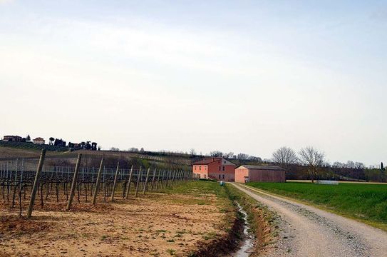 Detached house in Montepulciano