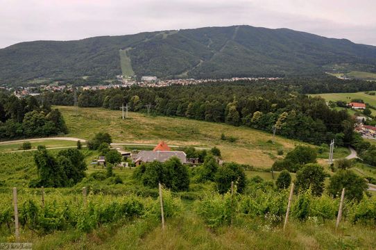 Land in Maribor