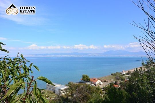 Land in Agia Triada (Thessaloniki)
