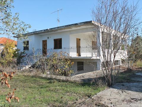 Cottage in Katerini
