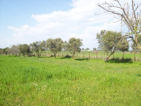 Land in Achaea