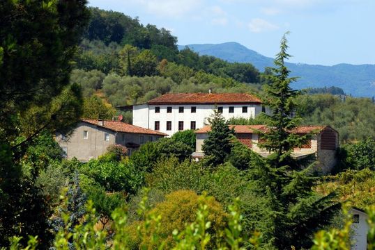 Estate in Lucca