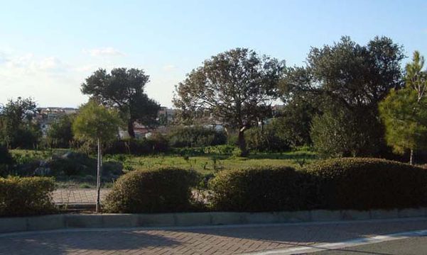 Land in Paphos