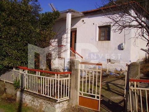 Detached house in Olimpiada
