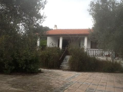 House in Penteli