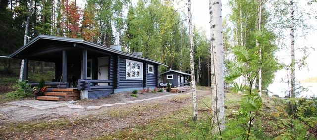 Cottage in Kangasniemi