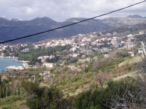 Land in Zupa Dubrovacka