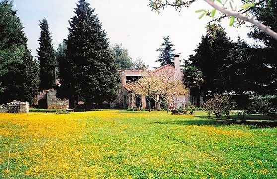 Villa in Novigrad
