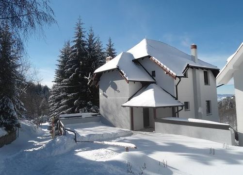 Villa in Kopaonik