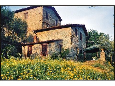 Detached house in Capannori