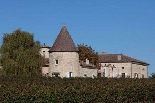 Castle in Bordeaux