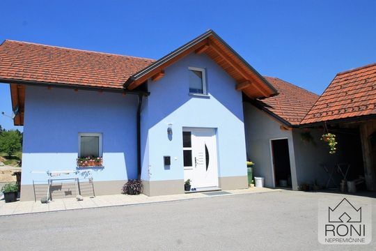 Detached house in Cerknica