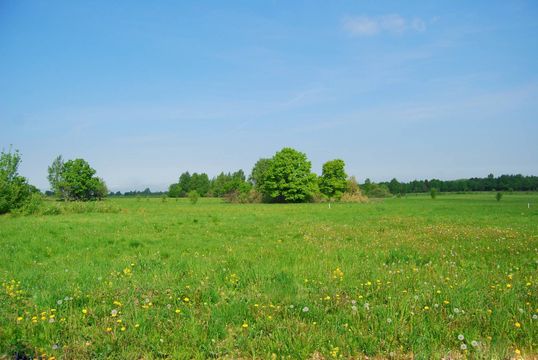 Land in Nitra