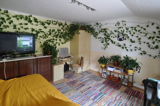 Apartment in Borovnica