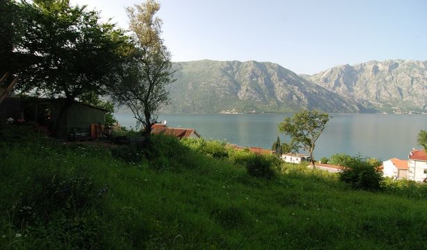 Land in Kotor