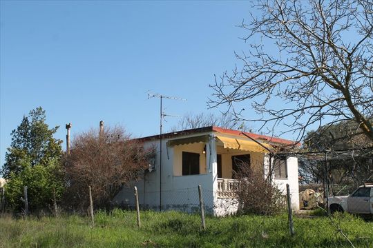 Cottage in Thessaloniki